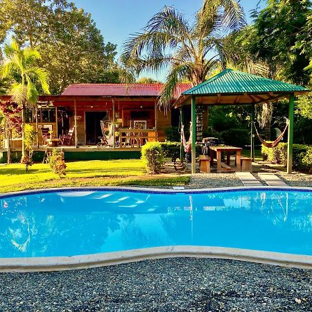 Uvita Oasis Retreat With Villa Cabins And Apartment Экстерьер фото