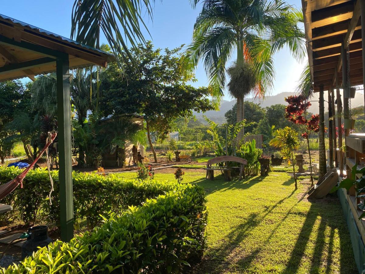 Uvita Oasis Retreat With Villa Cabins And Apartment Экстерьер фото