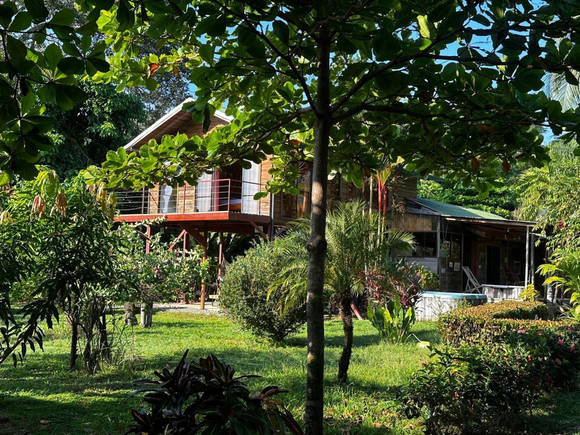 Uvita Oasis Retreat With Villa Cabins And Apartment Экстерьер фото